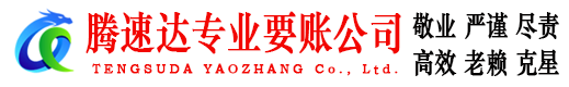 南湖腾速达清债公司